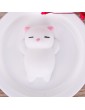 Squishy Soft Toys Slow Rising Simulation Cute Animal Cat Paws Hand Fidget Toy